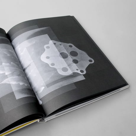 Alexandra Navratil / Brittle Land