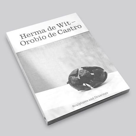 Herma de Wit / Sculptures and Drawings