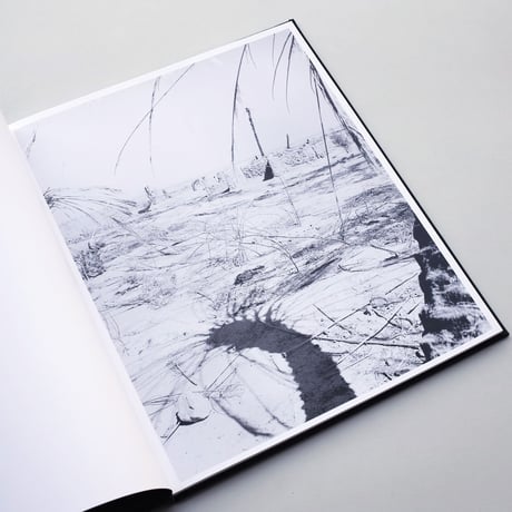 Sybren Vanoverberghe / Conference of The Birds