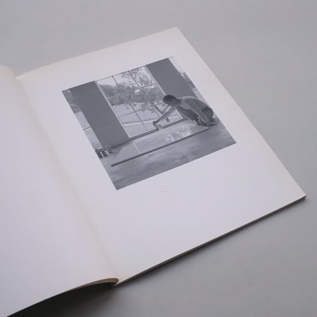 Wolfgang Laib / Wolfgang Laib