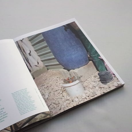 Henk Wildschut / Rooted