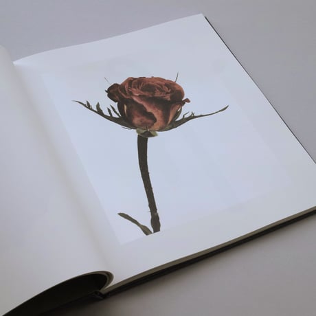 Irving Penn / Flowers