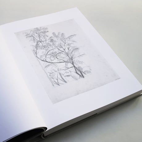 Ellsworth Kelly / Plant Drawings