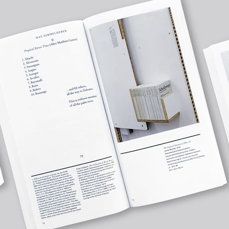 James Beckett / The Sceptical Structures of Max
