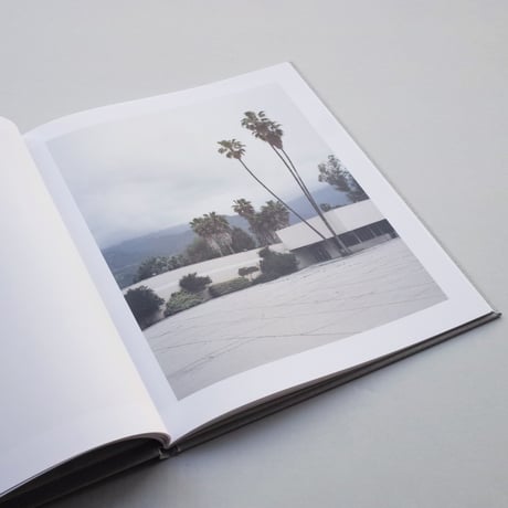 Marie-José Jongerius / Los Angeles Palms