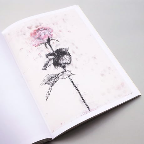 Sabine Moritz / Roses