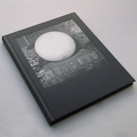 Kevin Lear / a glass darkly