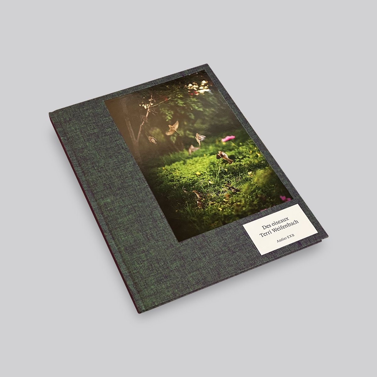 As the Crow Flies:Terri Weifenbac☆値下げました Terri Weifenbach