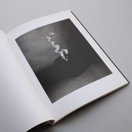 Taiyo Onorato, Niko Krebs / Light of Other Days