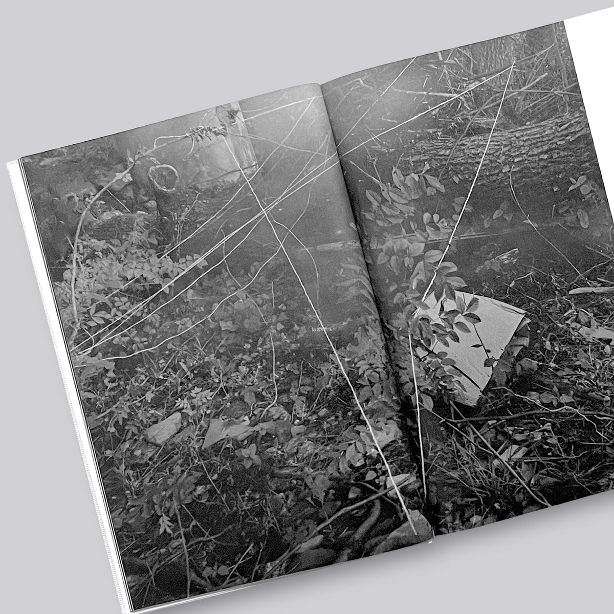 Raymond Meeks, George Weld / THE INHABITANTS [E