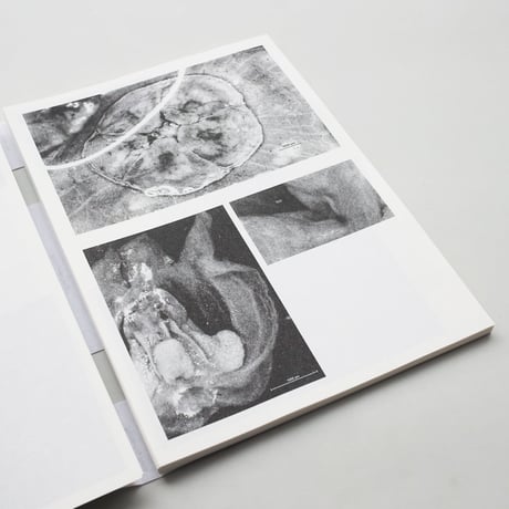 Loh Xiang Yun / Microscopic Images