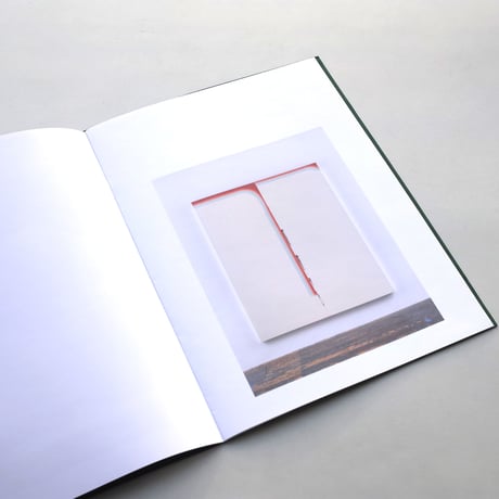 Wade Guyton / PATAGONIA 2