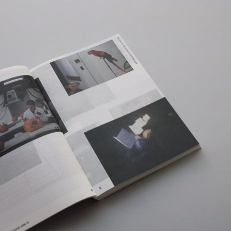 Pierre Huyghe / Pierre Huyghe at the Serpentine