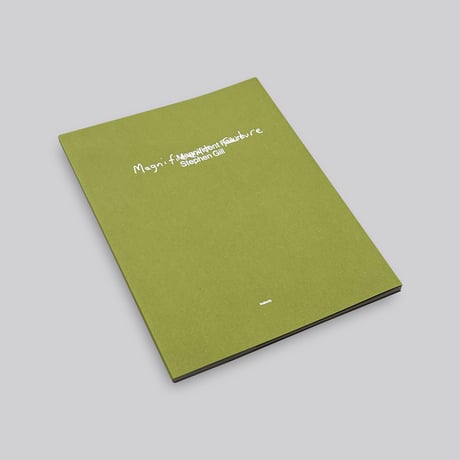 Stephen Gill / Magnificent Failure
