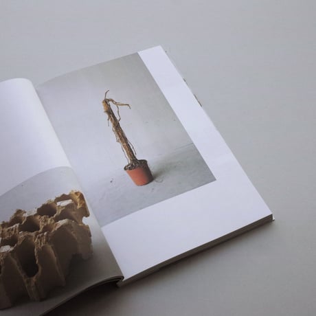 Sara Bjarland / Groundwork