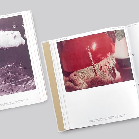 Multiple Realities: Experimental Art in the Eastern Bloc 1960s–1980s