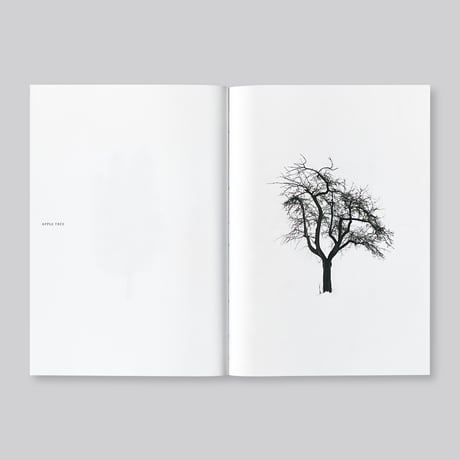 Todd Schulz / Five Leaves Left