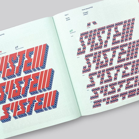 Martin Lorenz / Flexible Visual Systems (4th ed)
