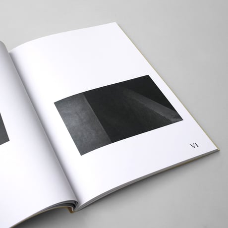 Felix Wilson / Nocturnal Ecologies