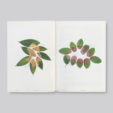 Anne Geene / Book of Plants (Second Edition)