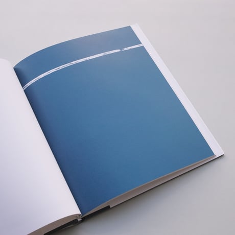 Anne Truitt / Paintings