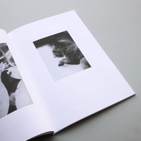 Jochen Lempert / Relacion