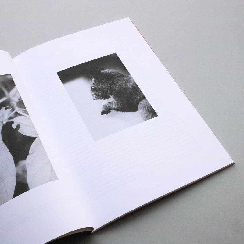 Jochen Lempert / Relacion | POST
