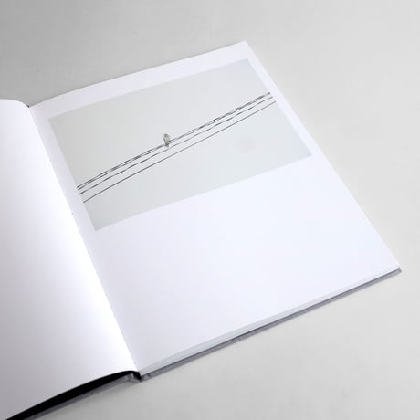 Rinko Kawauchi / Des Oiseaux