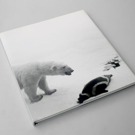 HIROSHI SUGIMOTO / DIORAMAS