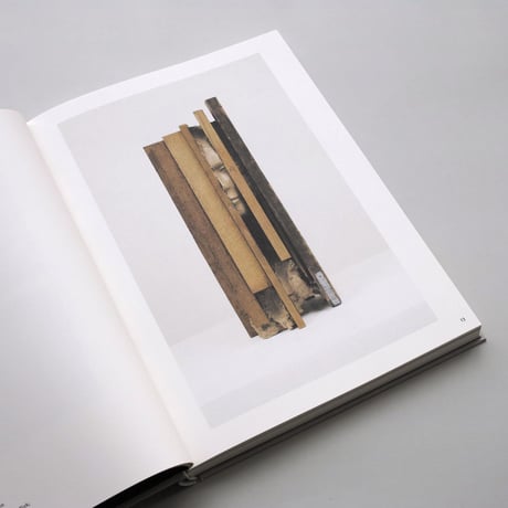 Mark Manders / Parallel Occurrences, Documented Assignments