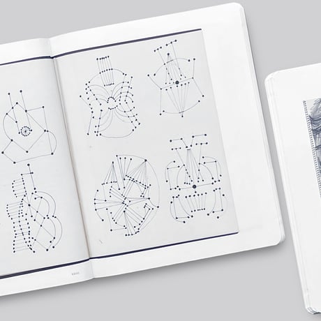 Pablo Picasso / Picasso 14 Sketchbooks