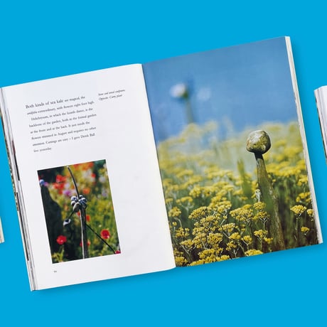 【T&H】Derek Jarman / Derek Jarman's Garden