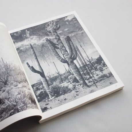 Batia Suter / Hexamile ( Mont-Voisin)