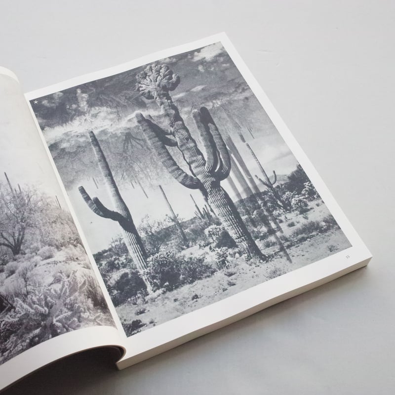 アート・デザイン・音楽 Batia Suter / Hexamile ( Mont-Voisin) Batia Suter / Hexamile ( Mont-Voisin) | POST