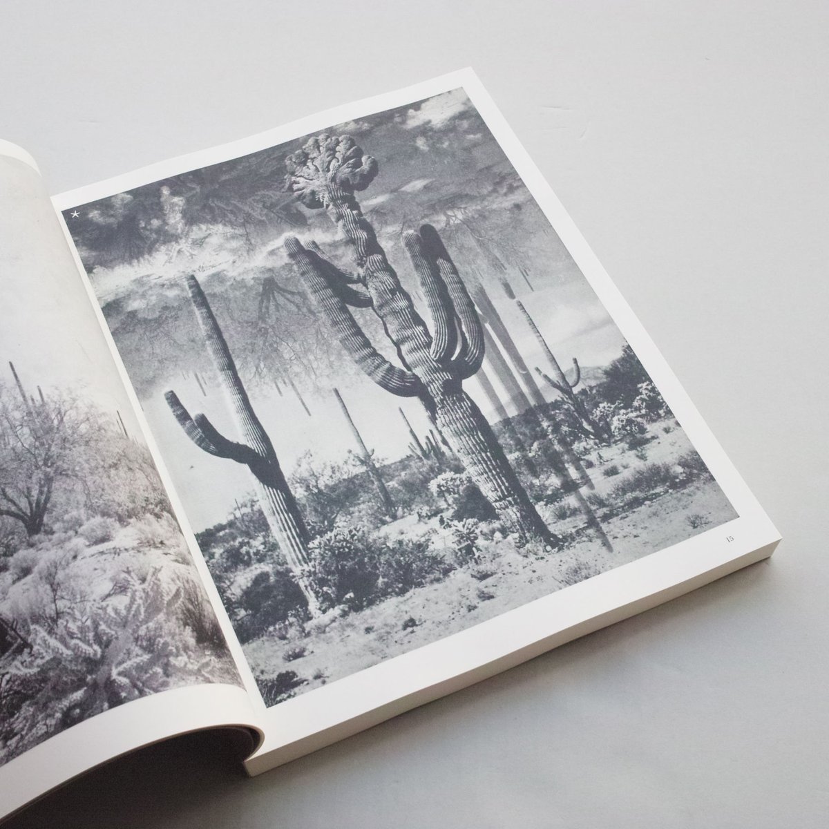 Batia Suter / Hexamile ( Mont-Voisin) | POST