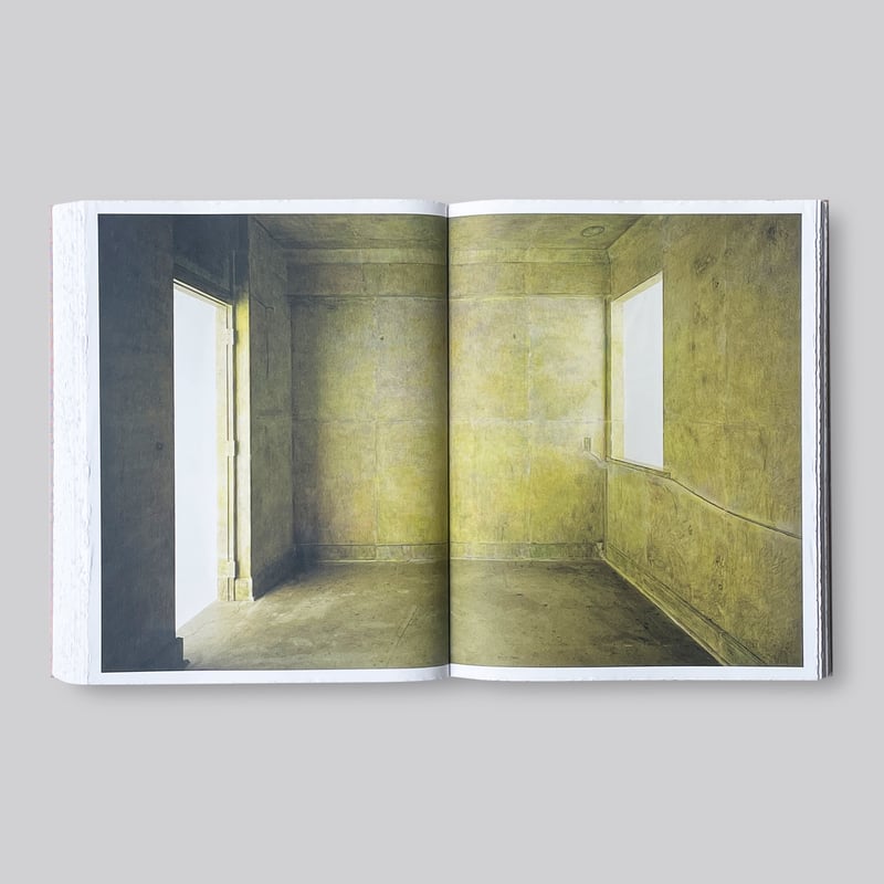 図録 「DO HO SUH」ス・ドホ　オーストラリア現代美術館　韓国現代アート 図録 「DO HO SUH」ス・ドホ オーストラリア現代美術館 韓国現代