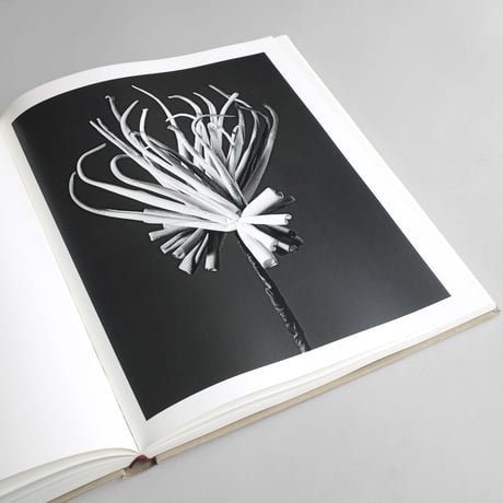 Robert Voit / The Alphabet of New Plants
