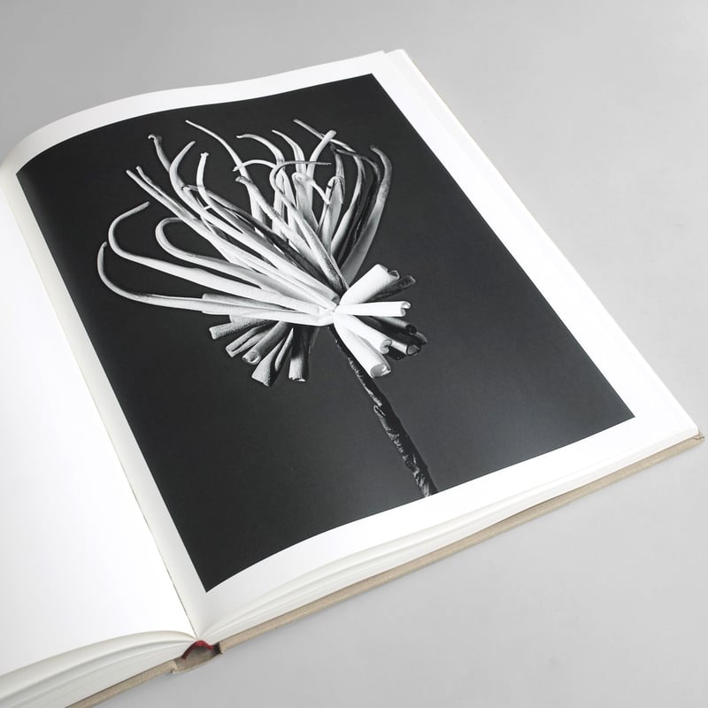 The Alphabet of New Plants　Robert Voit The Alphabet of New Plants | CLAMP