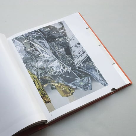 Gabriel Kuri / Sorted, Resorted