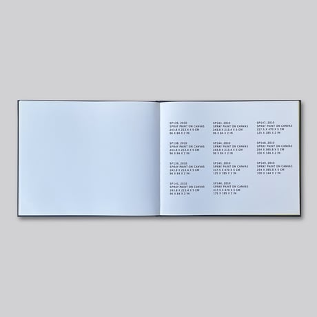Sterling Ruby  / PAINTINGS