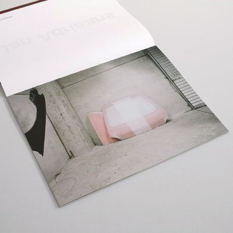 Jan Adriaans / Garage