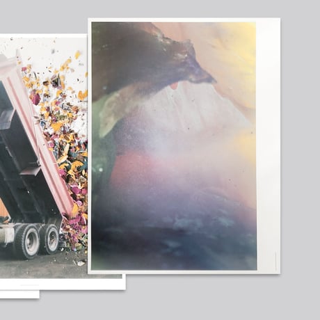 Stephen Gill / Large Poster Set