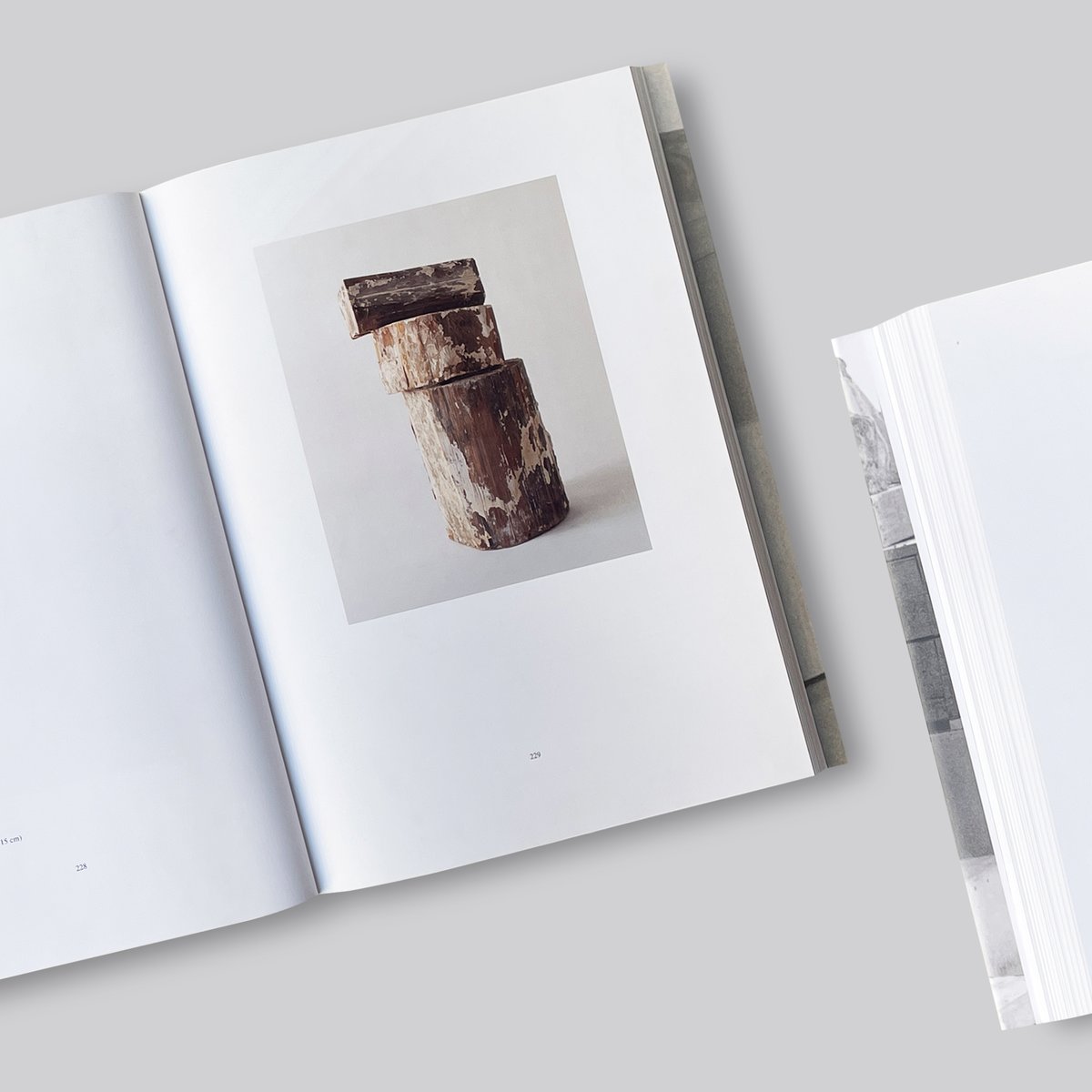 Cy Twombly / Catalogue Raisonne of Sculpture Vo