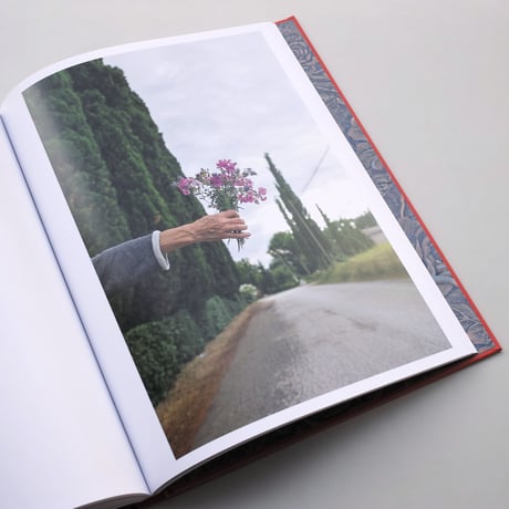 Joel Meyerowitz / Wild Flowers