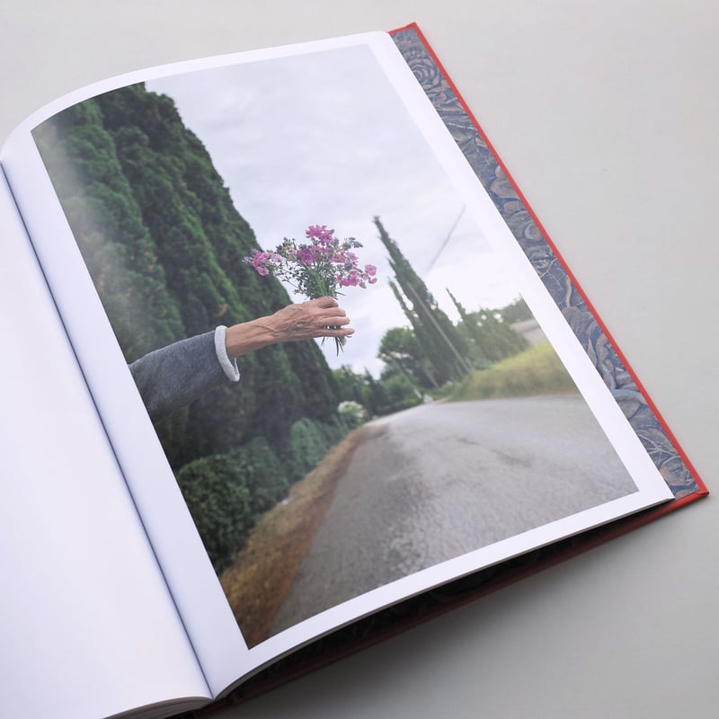 Joel Meyerowitz / Wild Flowers | POST