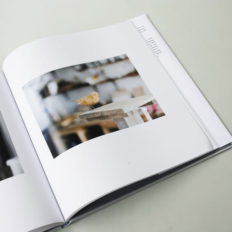 Robert Adams, Joshua Chuang / Boats, Books, Birds