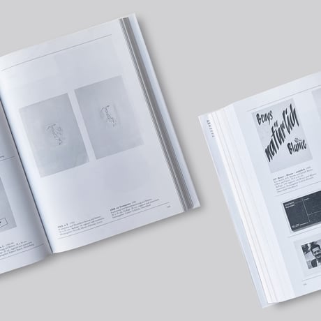 Joseph Beuys / Die Multiples 1965-1986