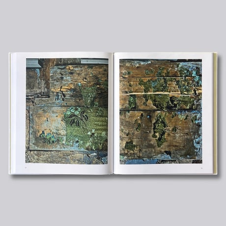 Robert Polidori / Topographical Histories