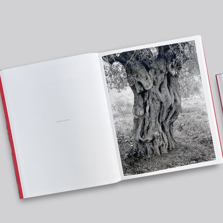 Adam Broomberg, Rafael Gonzalez / Anchor in the Landscape