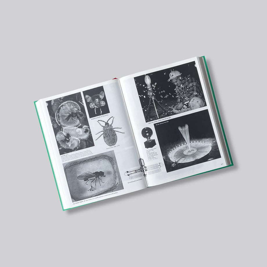 67eb84ec5793b5a8e2c48025